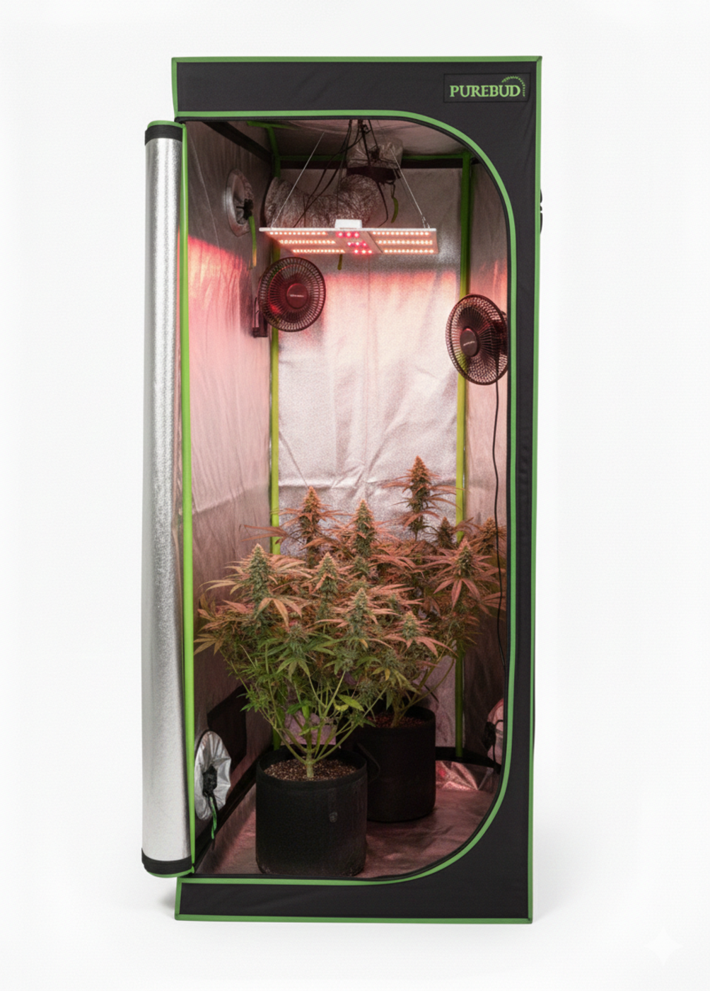 PureBud Growzelt in Aktion