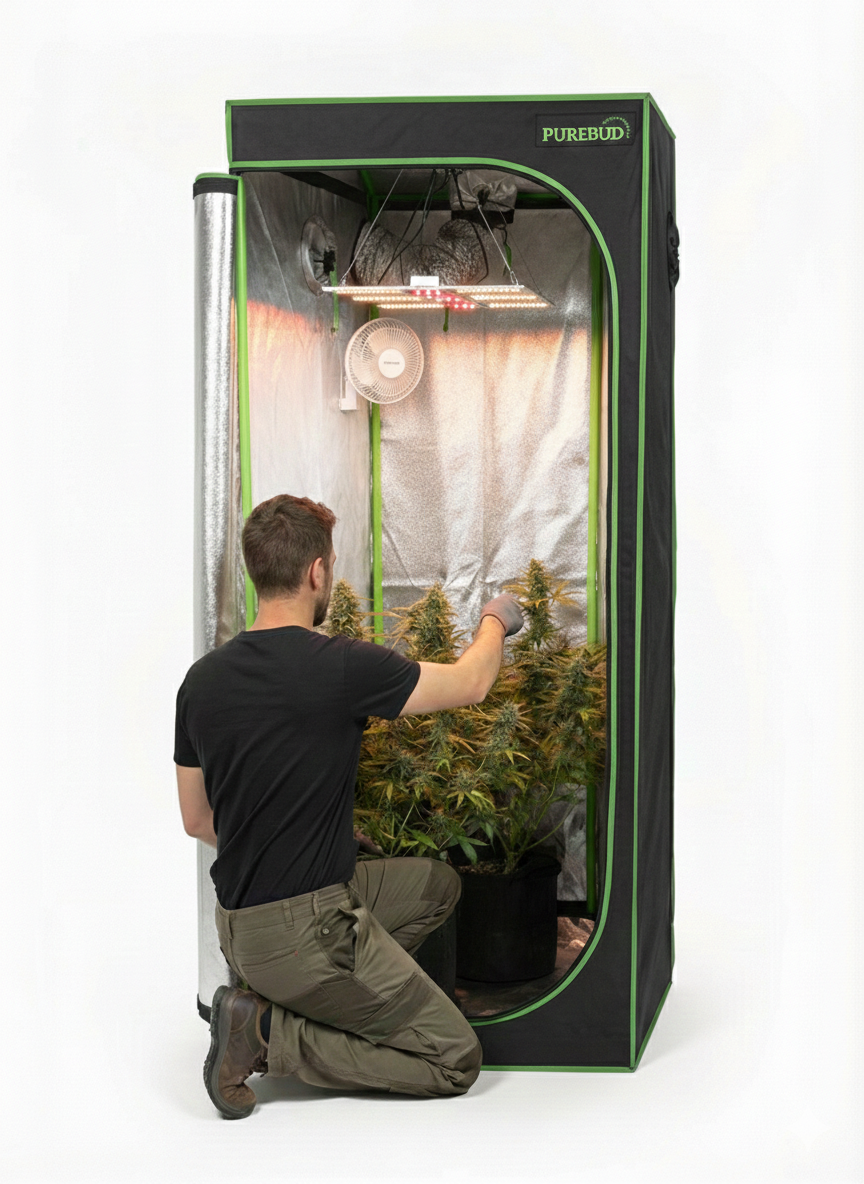 PureBud Grow-Zelt Setup mit Beratung